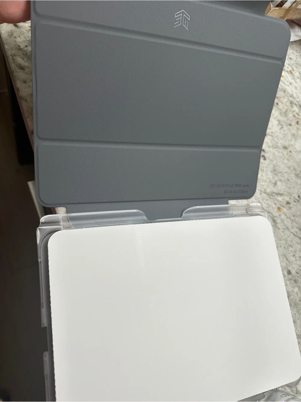 Studio Case for iPad (10th Generation) — Clear/Gray